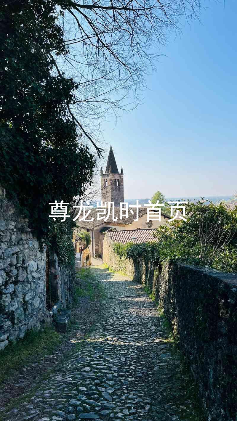 尊龙凯时首页